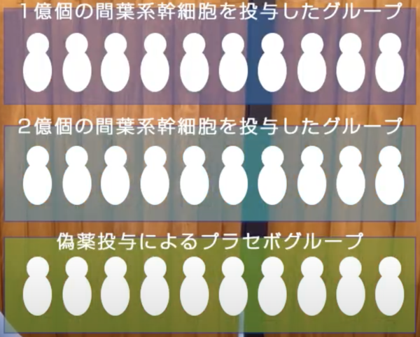 試験のグループ.png