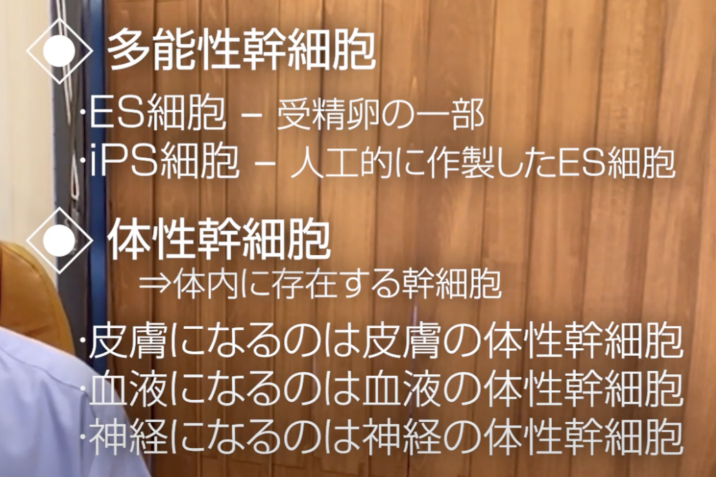多能性幹細胞と体性幹細胞の比較.png