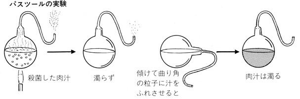 加藤先生ブログ9.jpg