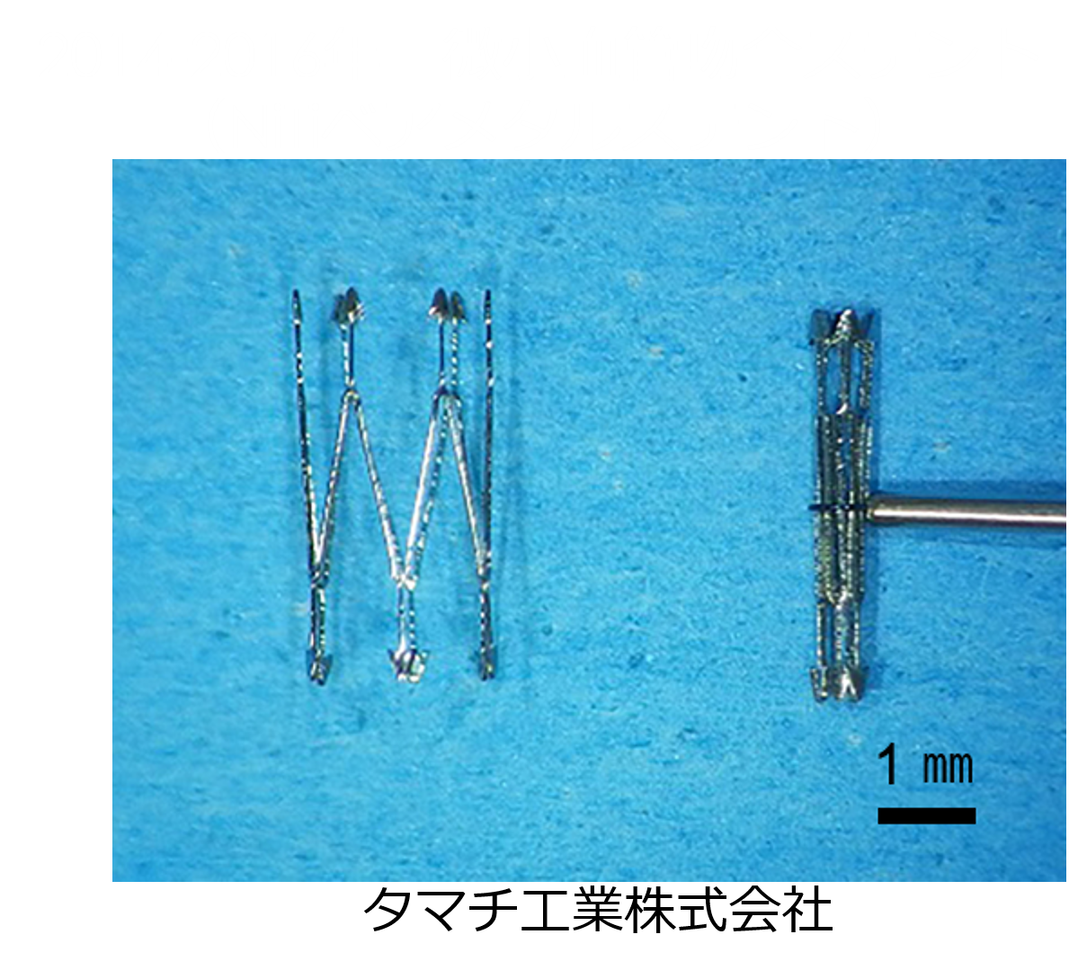 医師会スライドLVA5.png