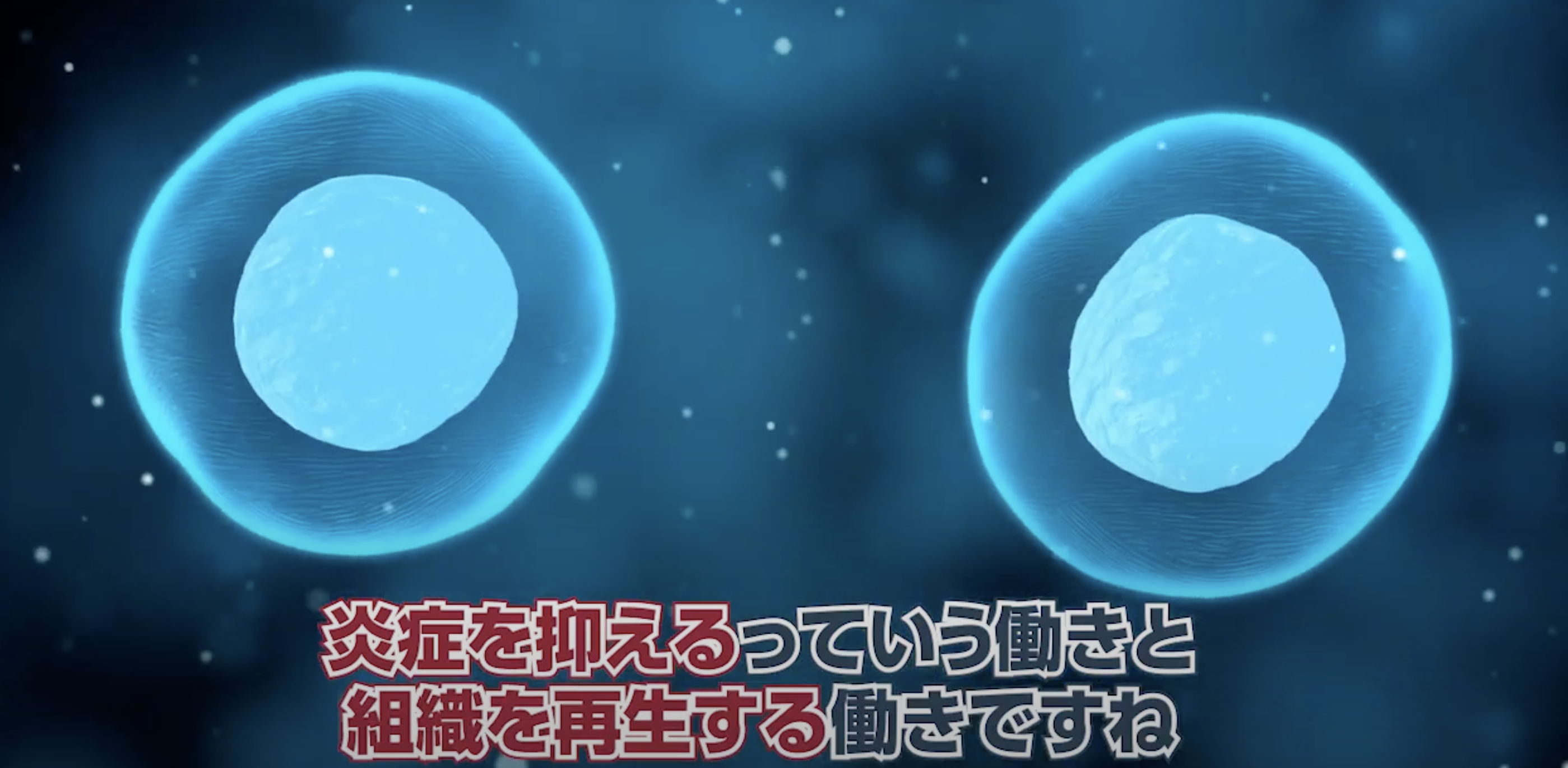 幹細胞は炎症を抑える.png