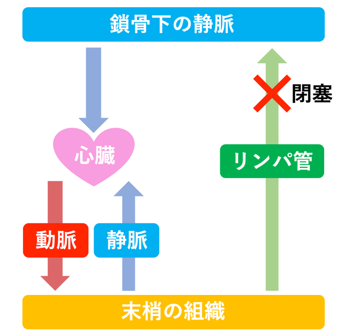 karakawa blog 3-1.png