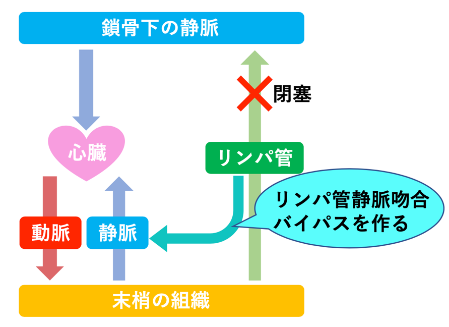 karakawa blog 3-2.png