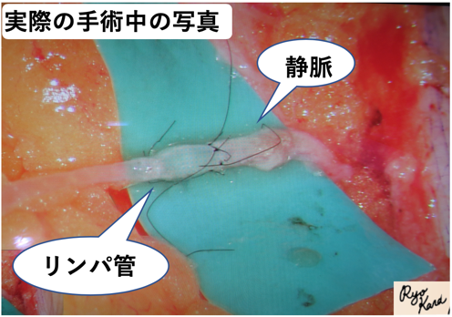 karakawa blog 3-3.png