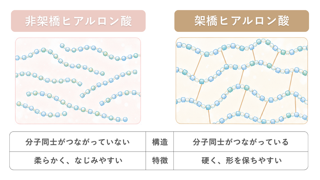 非架橋ヒアルロン酸と架橋ヒアルロン酸の違い

非架橋ヒアルロン酸
分子同士が繋がっていない
柔らかく、なじみやすい

架橋ヒアルロン酸
分子同士が繋がっている
硬く、形を保ちやすい